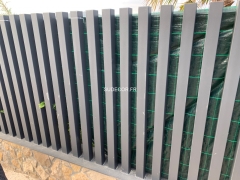 REF - ff-Clt-50