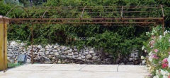 REF -   ff-Pergo-Rc-6